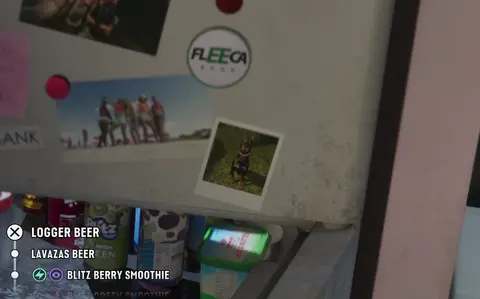 The fridge menu, the cross button beside Logger Beer.