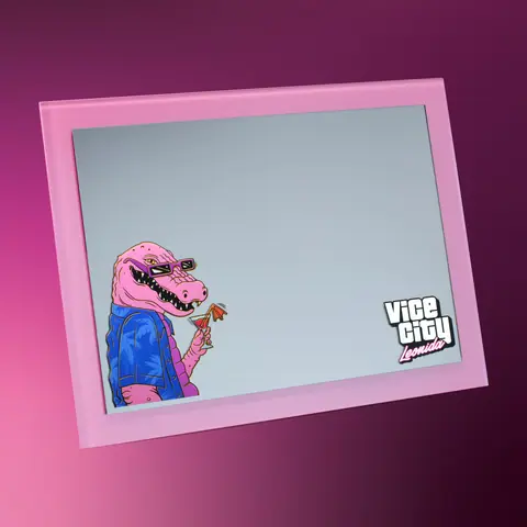 The pink-framed Macca magnetic mirror from the collector’s box.